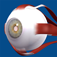 Eye Model